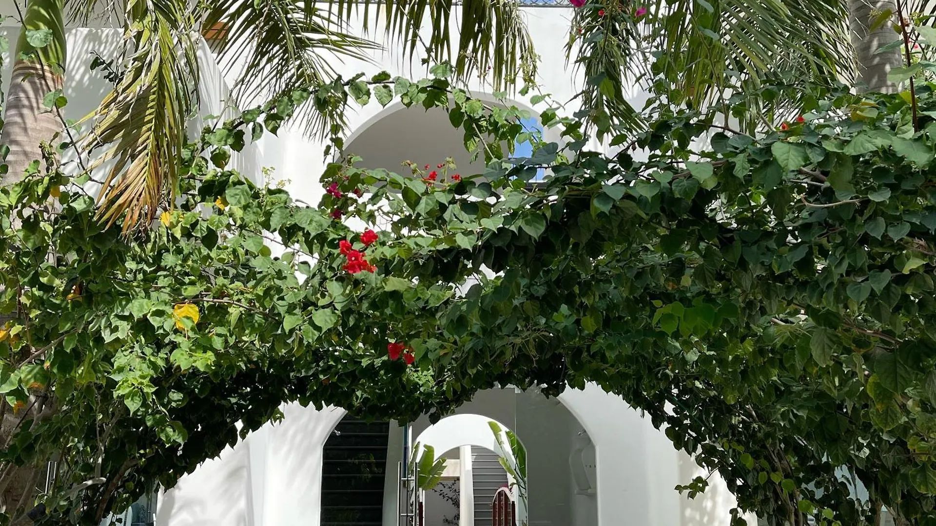 La Bella Vita Tulum Pueblo Mexico